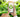 Eco-Stats: The Real Environmental Impact of Buying Refurbished Tech