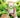 Eco-Stats: The Real Environmental Impact of Buying Refurbished Tech